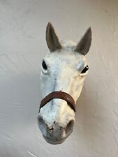Equestrian horse head for sale  Orlando