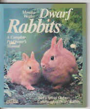 Dwarf rabbits complete for sale  WORTHING