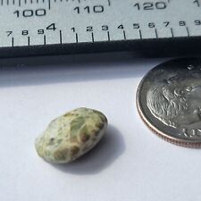 Lake Superior Michigan Greenstone Chlorastrolite 3.60 ct. for sale  Shipping to South Africa