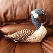 Canadian snow goose for sale  Modesto