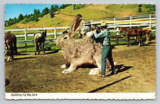 Cartão postal borda recortada exagero estável coelho gigante sela cowboy comprar usado  Enviando para Brazil