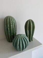 home cactus for sale  NOTTINGHAM