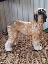Adghan hound dog for sale  CHORLEY