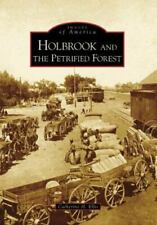 Holbrook and the Petrified Forest [AZ] [Images of America] [Catherine H. Ellis comprar usado  Enviando para Brazil