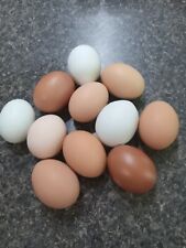 Organic farm eggs for sale  West Plains