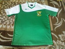 CAMISA GAA RARA - DOMHANCH MOR CILL DHEAGLAIN CLG DONAGHMORE CASA LONGE TAMANHO L comprar usado  Enviando para Brazil