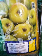 Grafted golden delicious for sale  Carlsbad