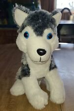 Siberian husky puppy for sale  Walkerton