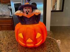 Mickey mouse halloween for sale  Litchfield Park