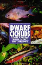 Dwarf cichlids keeping for sale  USA
