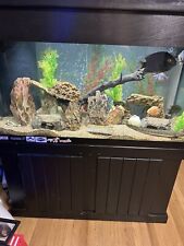 Large fish tank for sale  Saddle Brook