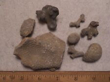 Bryozoa fossils favosite for sale  Yuba City