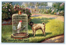 Postcard pug puppy for sale  Terre Haute
