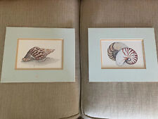 Morgan prints seashell for sale  Waco