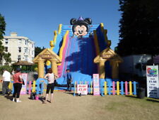 Photo giant inflatable for sale  FAVERSHAM