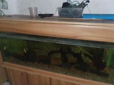 5ft fish tank for sale  HAYES