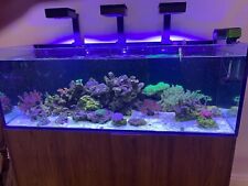 Marine aquarium reef for sale  TAMWORTH