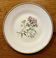 RICHARD GINORI Primavera rosa e amarelo 8” prato de salada porcelana fina de ossos da Itália comprar usado  Enviando para Brazil