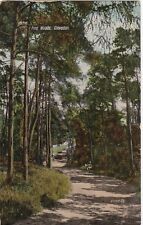 Pine woods clevedon for sale  LEYBURN