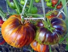 Semillas de tomate Томат Мечта Алисы (El sueño de Alise), usado segunda mano  Embacar hacia Argentina