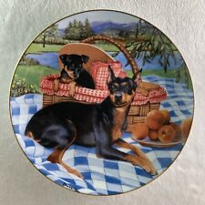 Family picnic plate for sale  Vergas