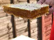 Honeycomb 2023 new for sale  KIDDERMINSTER