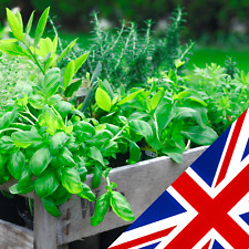 Organic herb garden for sale  CHELMSFORD