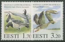 Estland 1994 naturschutzgebiet gebraucht kaufen  Gleichen