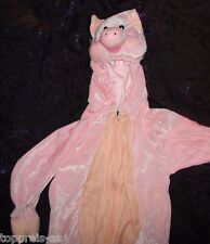 Kostüm schwein kinder gebraucht kaufen  Kastellaun