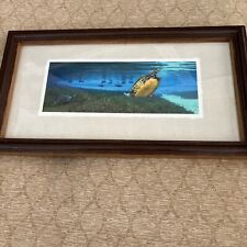 John Moran Florida Photographer Matted Framed FOREVER BLUE Photograph Sea Turtle for sale  Shipping to South Africa
