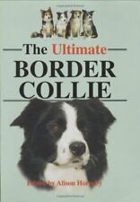 Ultimate border collie for sale  USA