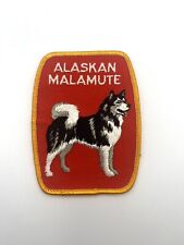 Alaskan malamute dog d'occasion  Expédié en Belgium