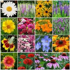 All perennial wild for sale  Sevierville