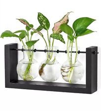 Mkono plant terrarium for sale  Pharr