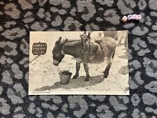 Antique donkey seaside for sale  WALSALL