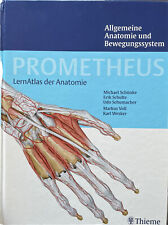 Atlas anatomie menschen gebraucht kaufen  Hamburg
