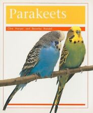 Pets parakeets individual for sale  USA