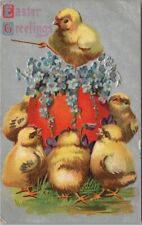 1910 Postal en relieve de Pascua coro de pollitos de bebé pollito conductor desde la parte superior del huevo segunda mano  Embacar hacia Argentina