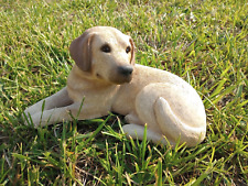 Yellow laying lab for sale  Leslie