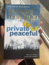 Private peaceful michael for sale  Ireland