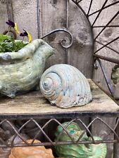 Handcrafted concrete shell for sale  DUNSTABLE