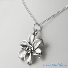 Lily flower blossom for sale  Irvine