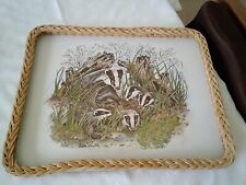 Vintage Tea Tray - Family Of Badgers - Wicker Edge - Approx 18" x 14", used for sale  Shipping to South Africa