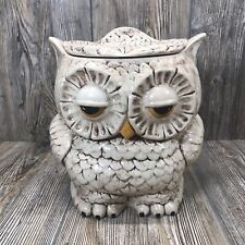 Vtg 1970s Double Sided Owl Ceramic Cookie Jar Kitchen Storage Sleepy Eyes Large, used for sale  Poteau