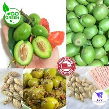 Olive tree seeds for sale  Shipping to Ireland