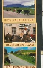 Fun irish picture for sale  Ireland