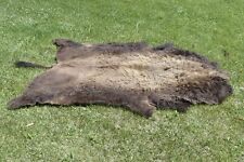 bison rug for sale  Orland