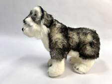 Wolf husky dog for sale  Kingsport