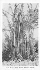 1950's RARE! Banyan Tree in Guam - Mariana Islands - South Pacific - Southland, used for sale  Shipping to South Africa