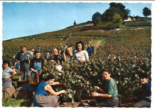 Saint emilion vendanges d'occasion  Villenave-d'Ornon